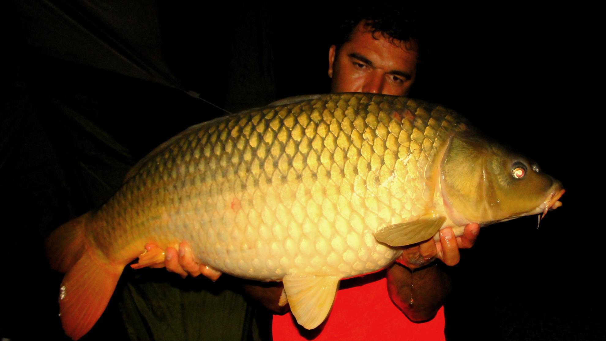 Hermes Peris 25 - 26 august 2015 - dsc05092.JPG